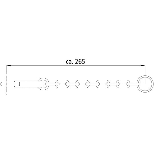 Chain for rawlplug 80 mm snap hook Chain length 290 mm
