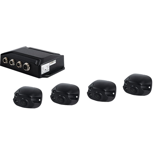 LUIS 360° OE without monitor (additional avatar options)