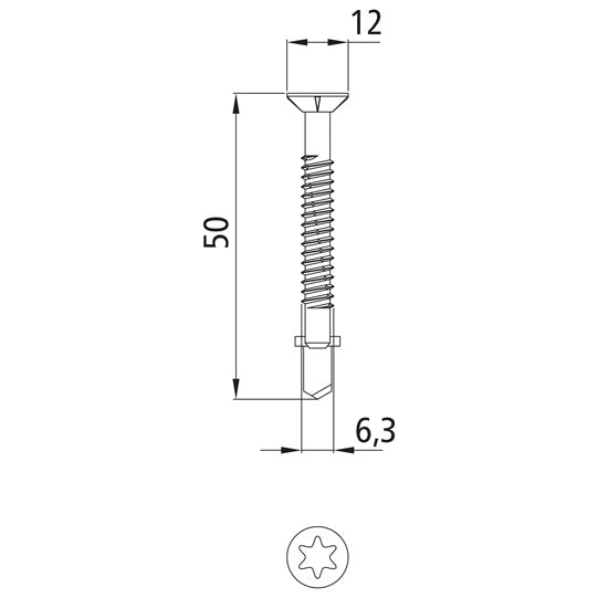 Self-drilling screw, TORX T30, 6.3x50mm, galv.