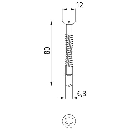 Self-drilling screw, TORX T30, 6.3x80mm, galv.