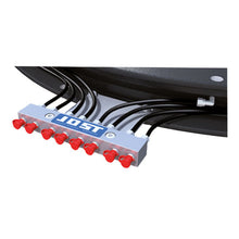 Lubrication distributor for ball and cage assemblies