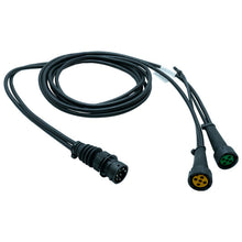 Distributor cable 8-pin bayonet to 2 x 5-pin bayonet with DC