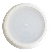Inpoint III LED, 12/24 V, round, 0.3 m, open end