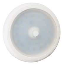 Inpoint III LED, 12/24 V, round, 0.3 m, open end, with switch