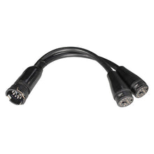Adapter for main cable, LP 20-LP 30 with outlet LP 20, 250 mm