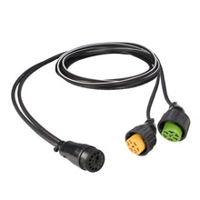 Distribution cable, 17-pin LP 20, 2 x 7-pin ASS, 2500 mm