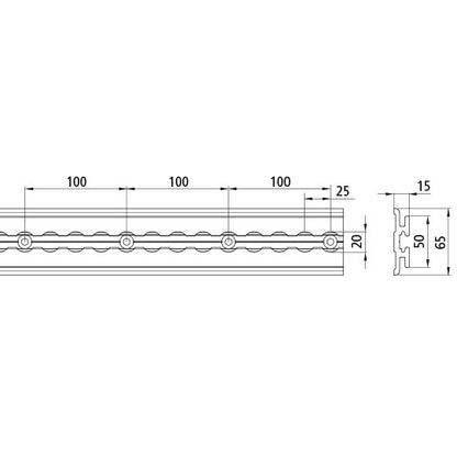 Ankarskena för rullcontainersäkring i flygplansprofil, 6000 mm