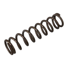 Blueline CS compression spring Ø12 mm, 47 mm, stainless steel