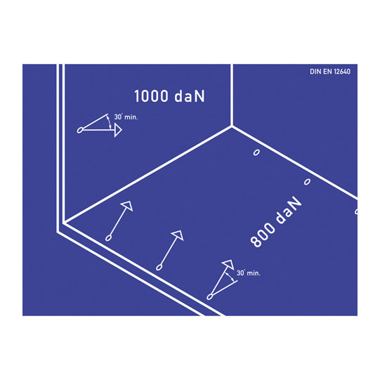 Lashing point sign 800 daN, adhesive film