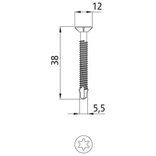 TORX T30 självborrande skruv, 5,5 x 38 mm, förz.