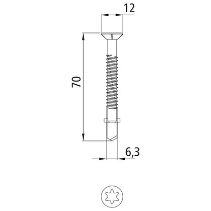 Self-drilling screw, TORX T30, 6.3x70mm, galv.