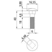 Truss-head bolt, galvanized, M6 x 40, hexagon nut
