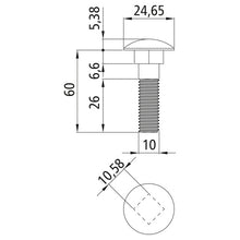 Bult med spets, DIN 603, förzinkad, M10 x 60, sexkantsmutter