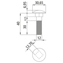 Truss-head bolt, DIN 603, galvanized, M12 x 40, hexagon nut